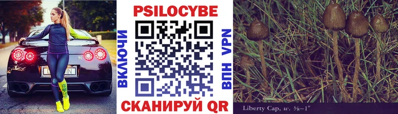 Псилоцибиновые грибы GOLDEN TEACHER  Борисоглебск 