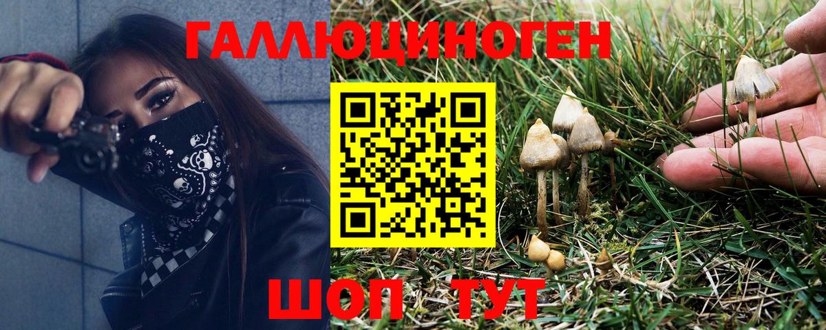 Псилоцибиновые грибы MAGIC MUSHROOMS  Псилоцибиновые грибы прущие грибы  Борисоглебск  Вход с VPN 